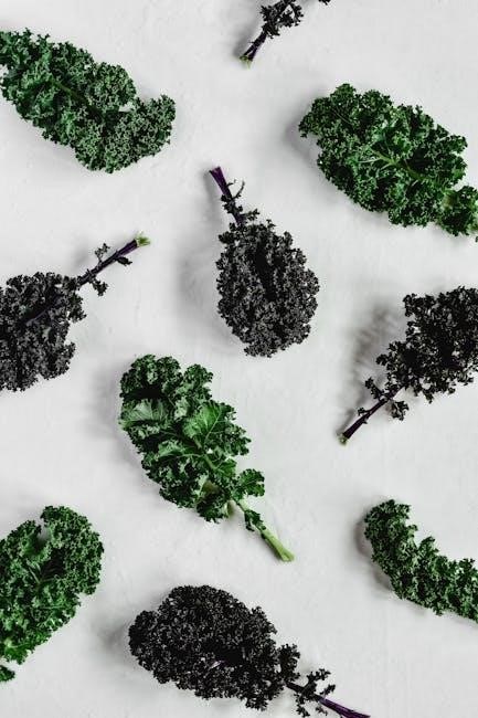 just salad nutrition pdf
