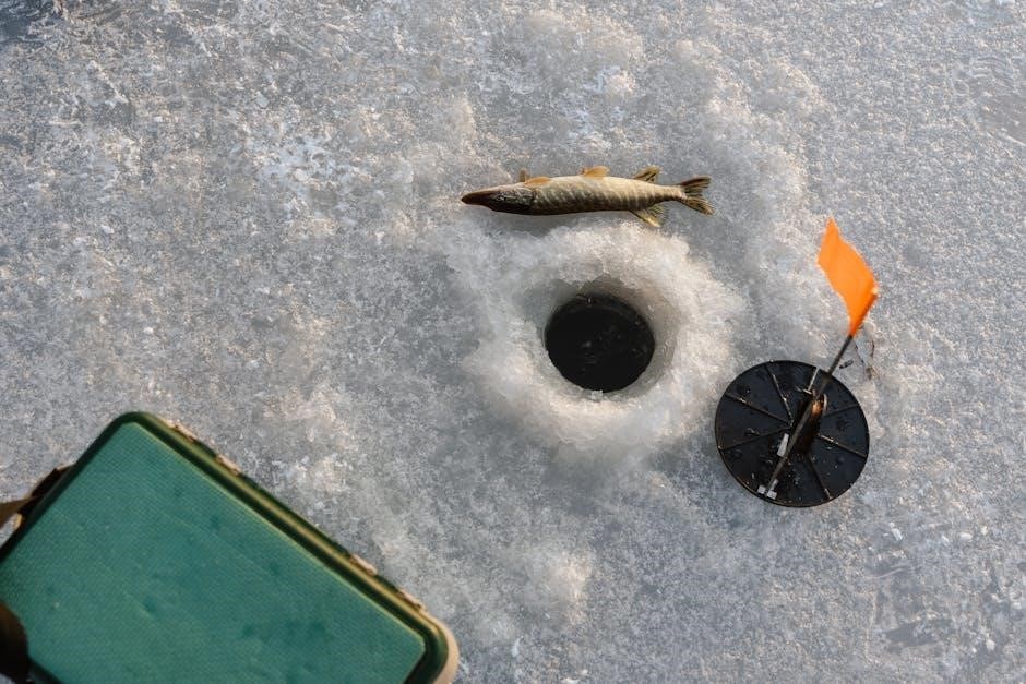 snow blower manual
