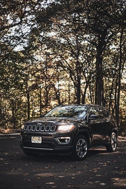 2017 jeep grand cherokee owners manual