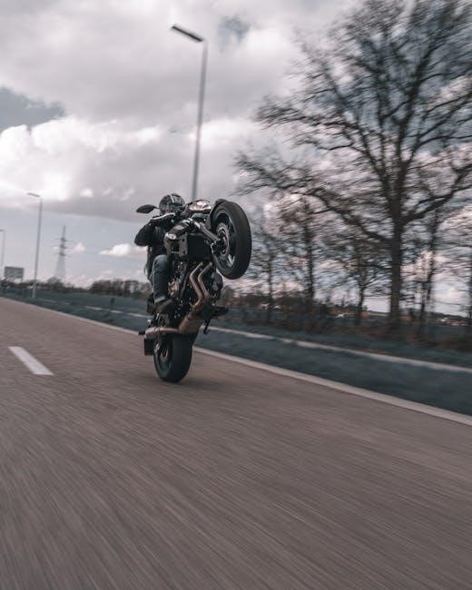 manual vs wheelie